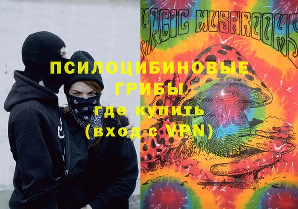 бошки Володарск