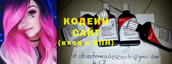 шишки Снежногорск