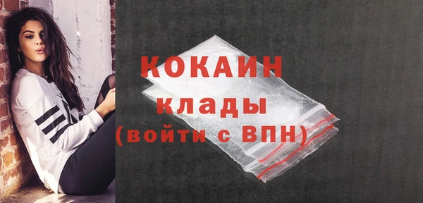 шишки Снежногорск